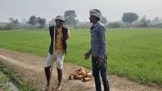 गोरी चली मायके खा 