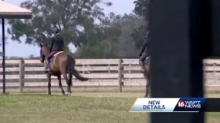 Animal officials give an update on horses following rodeo postponement