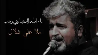 يا مايلـه الدنيـا وي زينب ‖ علي شلال ‖ 1444هـ