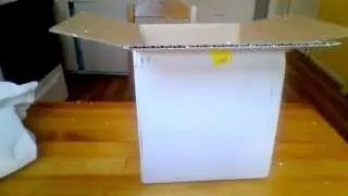 water monitor unboxing and backwater reptiles review