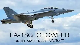 American military aircraft Boeing EA-18G GROWLER landing, United States NAVY.