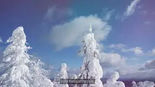 Under One Wide Sky (Christmas Song)