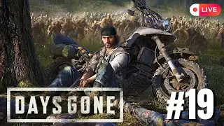 CHEGANDO AO FIM -  DAYS GONE / PARTE 19