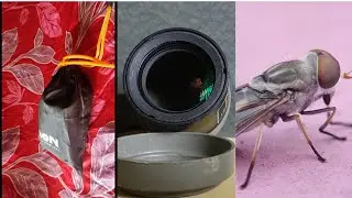 Unboxing And Field Test Of New Mobile Macro Lens. Nikon L810.