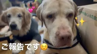 ご報告いたします✨