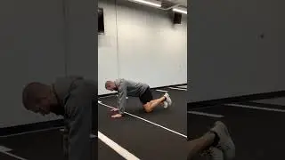 Quadruped Kickback