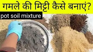 किचन गार्डनिंग के लिए अच्छी मिट्टी कैसे तैयार करें/Healthy soil mixture ideas for kitchen gardening