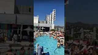 Hollywood Rooftop Pool Club