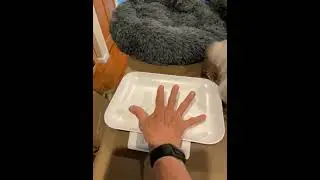Digital Pet Scale for Puppy and Kitten Review, Easy to use and easy to sanitize