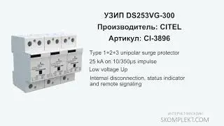 CITEL DS253VG-300