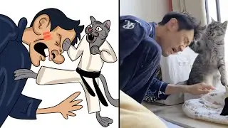 Этот кот-каратист не знает пощады 😹🥋 | Самый смешной кошачий мем