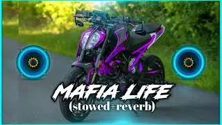 Mafia - Slowed & Reverb | Bhartiya Radio | Lofi | Trending Song | Hit Song | Gangster Theme