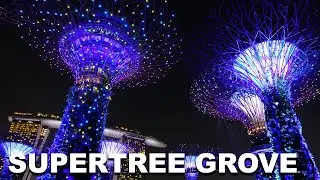 SINGAPORE ATTRACTIONS | SUPERTREE GROVE AT GARDENS BY THE BAY | NIGHT VIEW