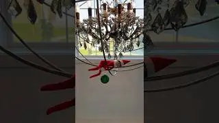ELF ON THE SHELF DELEMA (PLEASE HELP) 😨🫣 #shorts