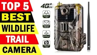 Top 5 Best Wildlife Trail Camera Review 2021