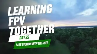 Mario5 5 Inch Quad Day 25 Night Flight with Deer-My FPV experience