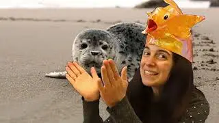 Jumping Beans: Water Animal Songs!