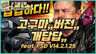 테슬라 FSD 개답답한 업데이트,,, feat. FSD V14.2.1.25
