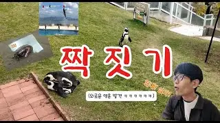 일본여행 3일차(1) #후쿠오카 #마린월드 #돌고래쇼 #짝짓기 #펭귄 #물개