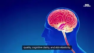 Anti-Aging with Peptide Therapy in New Braunfels, TX Explained