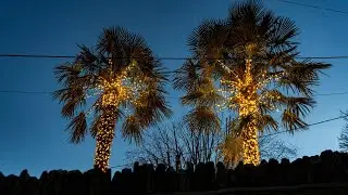 &ldquo;This is not Dubai!&rdquo; Locals in 'UK's prettiest street' revolt over tree lights | SWNS