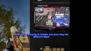 ##puppylife #gamerproblems👾 #crazydogs @YupGamingTV