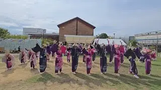 『夢源風人』～TATTOBU!!!!!～第10回豊中南部フェスティバル(野田中央公園・サブステージ)2025年9月14日
