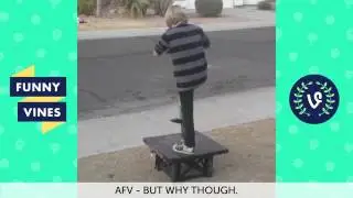 Funniest vines 2016 | try not to laugh challenge