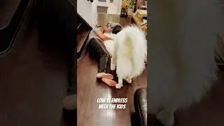 Unconditional love #cover #music #puppy #adorably #cutepet #adoreble #animal #pets #pet #adoreble