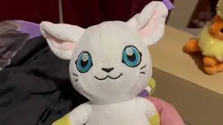 Gatomon&rsquo;s Mystery Box