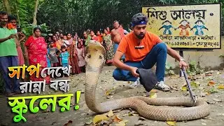 সাত সকালে গোখরোর ছোবল থেকে বাঁচলেন রাঁধুনি! ভয়ে স্কুলের  মিড ডে মিল বন্ধ! Snake in a School #rescue