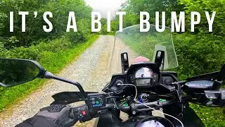 It's a Rocky Road to Scotland's Wild Beavers | 🏴󠁧󠁢󠁳󠁣󠁴󠁿 Scotland - Day 14