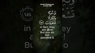 Seeking Comfort in the Quran