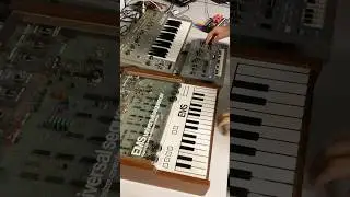 EMS Universal Sequencer driving Roland MC-202 and SH-101 #emssynthi #emsvcs3 #emsuniversalsequencer