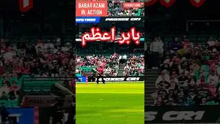 Babar Azam in Cricket ACTION #shorts #cricketshorts #bbl #sydney #sixers