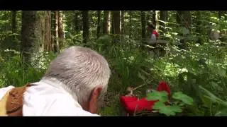 La chasse interdite