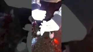 mijn broertje geloofde niet in @TheRandonauts