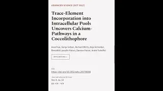 Trace‐Element Incorporation into Intracellular Pools Uncovers Calcium‐Pathways in a C... | RTCL.TV