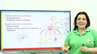 Biologia - Sistema Endócrino: Neuro-hipófise