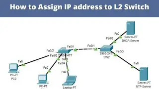 Как назначить IP-адрес на коммутаторе CISCO | Networkforyou | CCNA 200-301