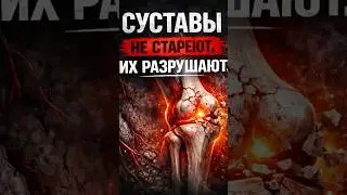 Суставы не стареют. Их разрушает воспаление