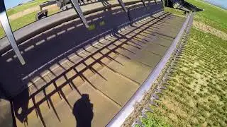 MacDon M205, D-65D Draper, Warmup and Cutting Alfalfa