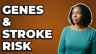How Do Genes Affect Stroke Risk?