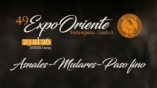 49 EXPOSICION EQUINA GRADO 