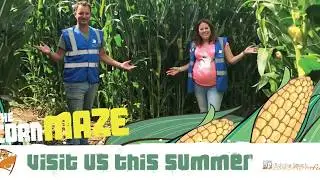 The Corn Maze Colchester and Basildon Essex