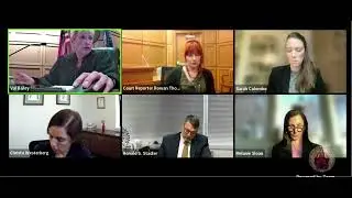Feb. 8, 2022 hearing in American Oversight v. Voss open records case, 21cv2521