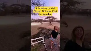 5 Reasons to Visit Etosha National Park in Namibia