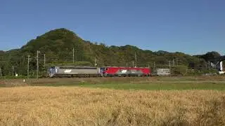 EF200-18 + EH500-48 (無動) + リサーチキャビンコンテナ