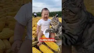 Nunu Kandish Na Chup chup|#viralvideo #puruliasongs