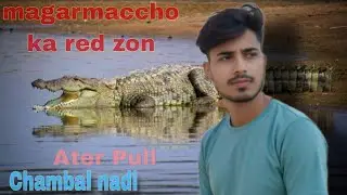 Chambal red zon.. 🥰 Mgarmachho.  Ka ilaka... 💯❤️#desi #funny #viral #god #love #love 